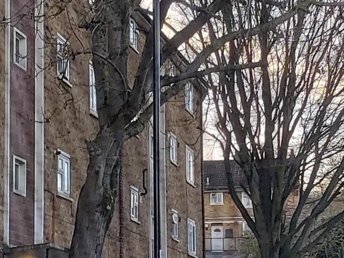 דירות Abbey Wood Heronsgate Gh009 מראה חיצוני תמונה